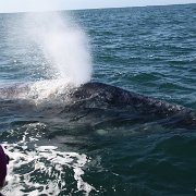 IMG 0001 2 (212)